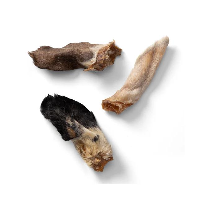Single - Hairy Lamb Ear Chews