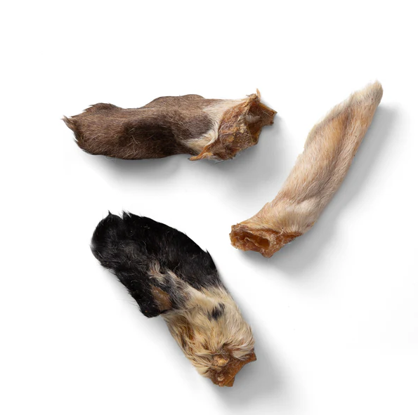 Single - Hairy Lamb Ear Chews